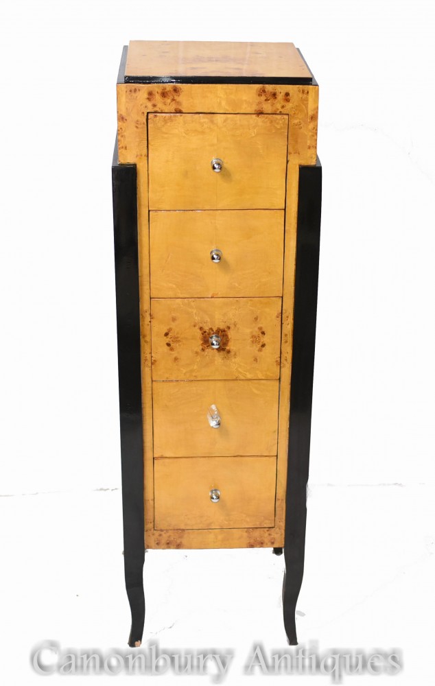 装饰艺术风格的衣柜抽屉-乌木化的高个子室内设计